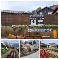 Three different ways from Tokyo to Mt. Fuji, which one suit you?