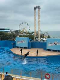 Ocean park