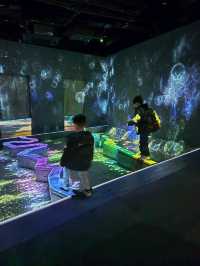 Teamlab Forest Fukuoka 🌳