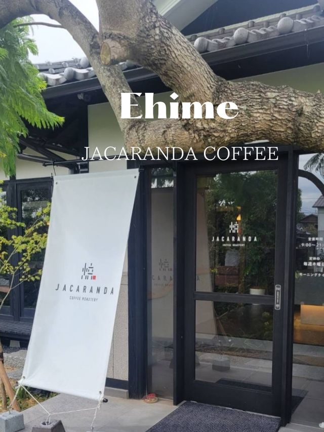 【古民家カフェ空間でモーニングを】