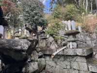 🕊️東大寺：千年古寺的莊嚴與感動🕊️