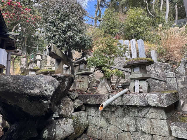 🕊️東大寺：千年古寺的莊嚴與感動🕊️