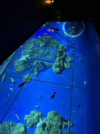 新感覚の水族館 DMMかりゆし水族館 【豊見城】