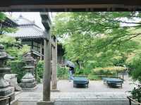 漫步金閣寺：靜謐與美的極致體驗