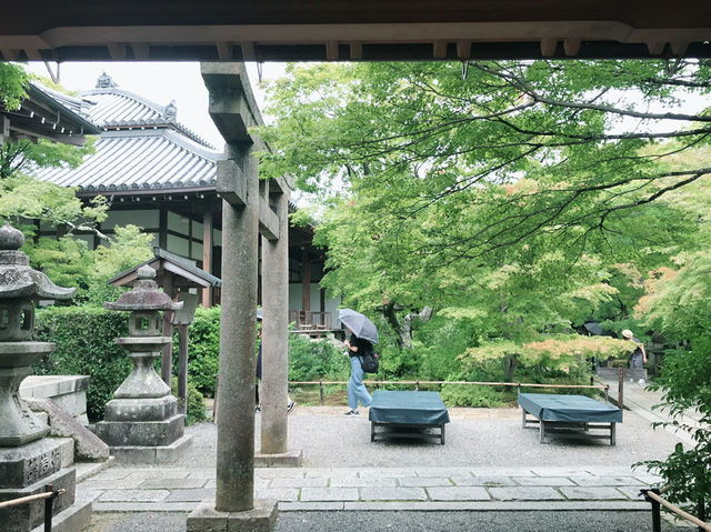 漫步金閣寺：靜謐與美的極致體驗