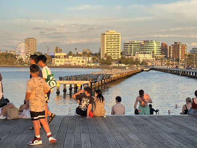 🇦🇺 澳洲墨爾本的最美海岸 還有企鵝群🐧