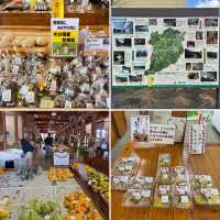 【豊後大野】ユネスコエコパーク✨ご当地名物満載の道の駅🚗