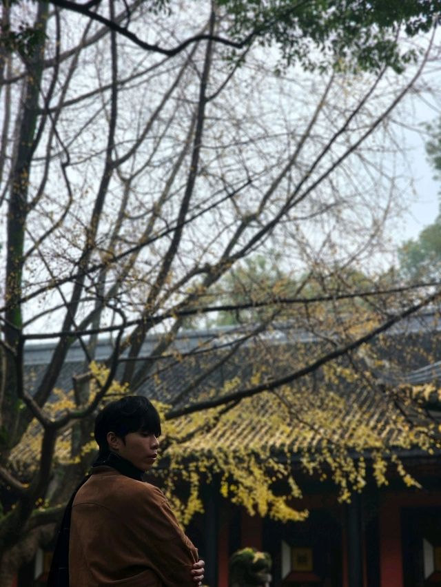 ✨Easy Day trip in Chengdu 