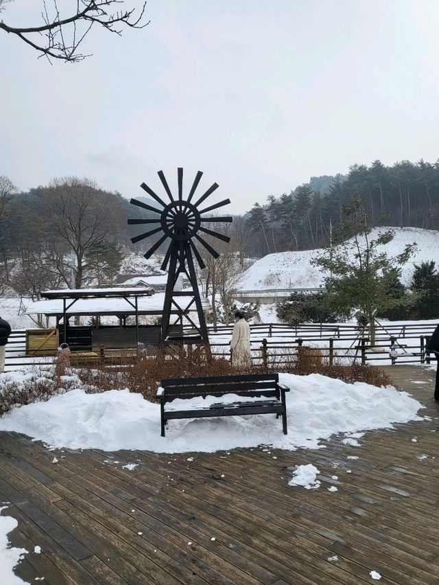 무료로 즐기는 동물농장이 있는 켄싱턴평창