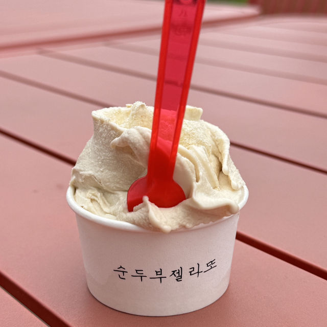 강릉 안목해변 특별한 젤라또 맛집 추천 “순두부젤라또”