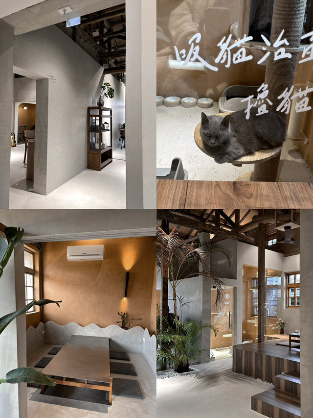 高雄｜黃埔新村 寵物友善咖啡廳🐾