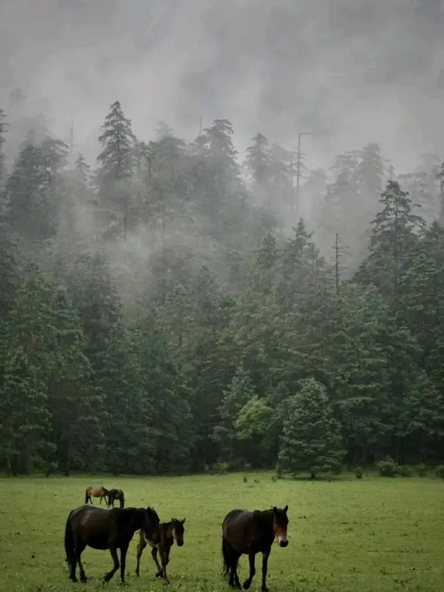 🏞️Sanctuary in Deqing