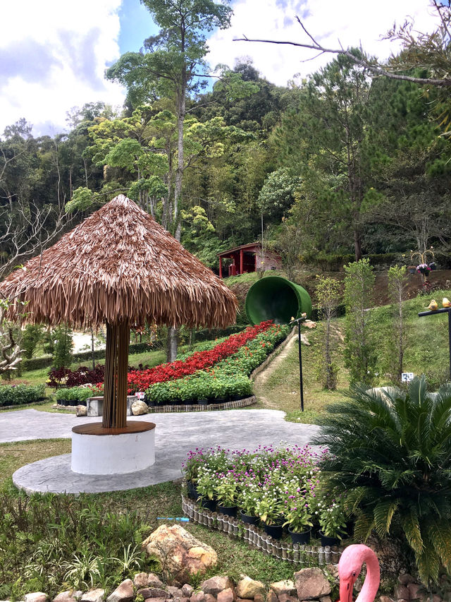 Evergreen Elegance: @Betong WF Garden