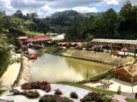 Betong Winter Flowers Garben