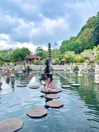 Water Palace with Koi fish