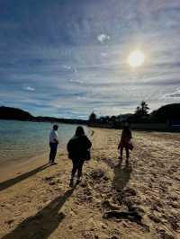 Popular beach in Sydney
