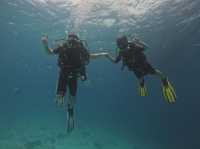 Cebu’s Best in 3 Days