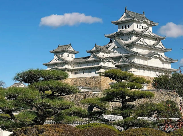 A Enchanting Return to Himeji Castle