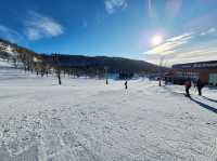 Niseko Annupuri International Ski Area