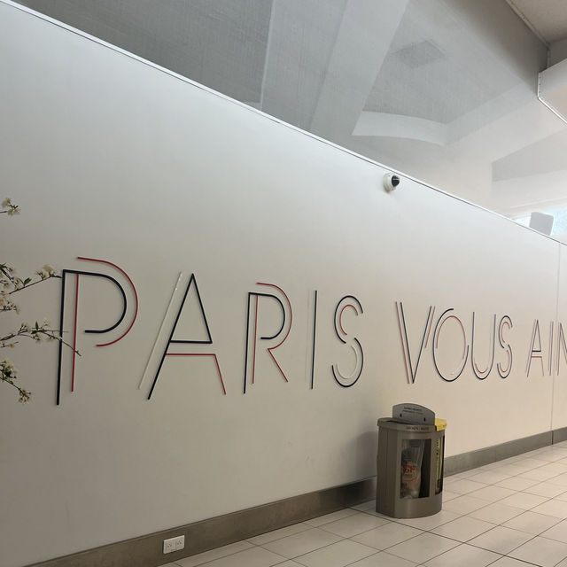 💖フランス🇫🇷💖パリ✈️シャルル・ド・ゴール空港