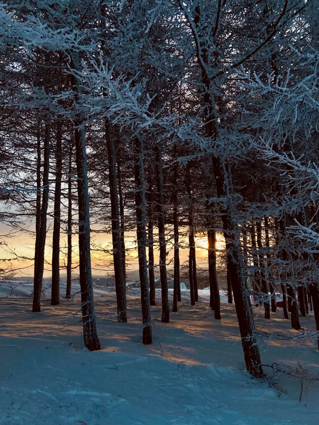 🏔️ Wanlong Ski Resort – The “Davos of China” for Skiing Enthusiasts 🎿❄️