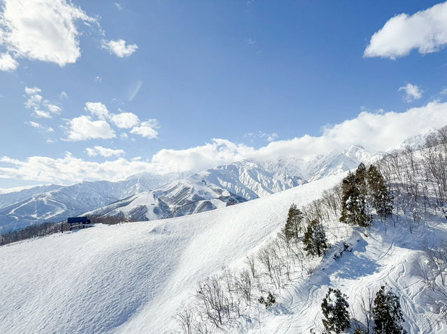 長野縣｜白馬岩岳滑雪場❄️雪山上的鞦韆！不滑雪也好好玩