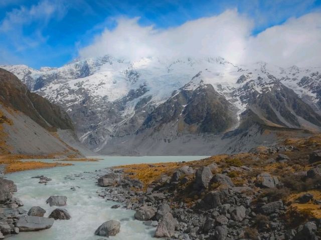 湖に佇む孤高のシンボル！「That Wanaka Tree」の神秘的な美しさ