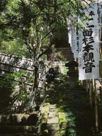 景點推薦：東京近郊・鎌倉報國寺——靜謐竹林中的禪意世界