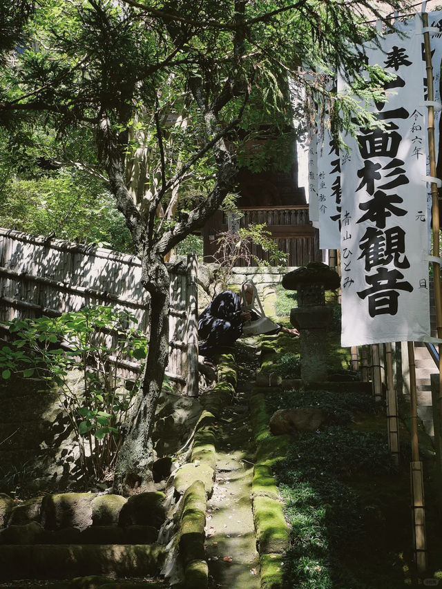 景點推薦：東京近郊・鎌倉報國寺——靜謐竹林中的禪意世界