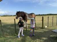 紐西蘭大滿足之親親大自然郊遊樂Ambury Regional Park