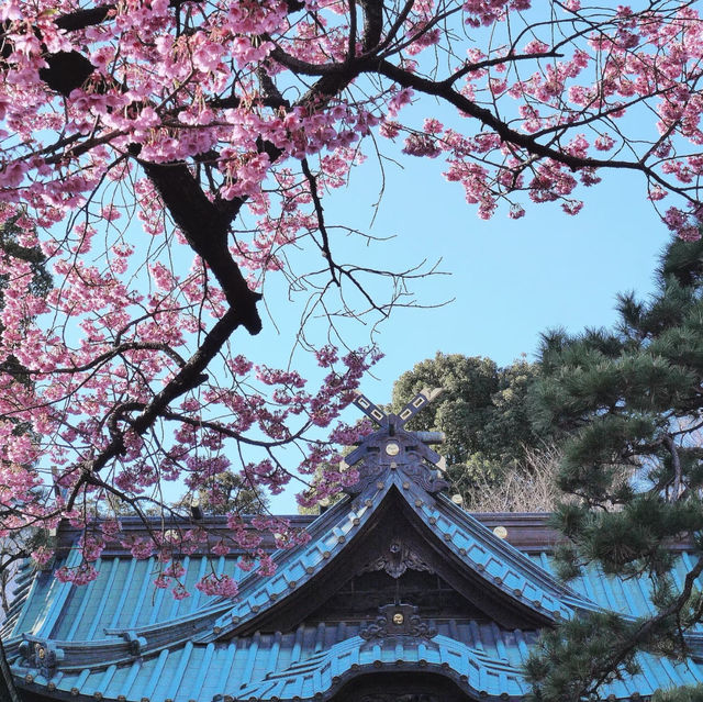 志式神社⛩️神聖與寧靜的交匯🌸⛩️