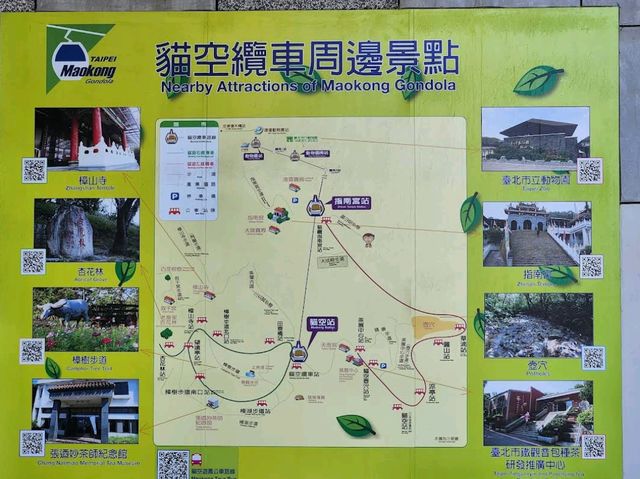 Maokong Gondola & Tea Plantations