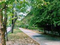 泰國曼谷湄南河畔公園寺廟大橋商場一日遊行程，欣賞湄南河壯麗景色，適合休閒打卡拍照📸祈福親子遊