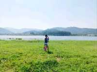 Phupha Coffee Camp ภูผา คอฟฟี่ แค้มป์