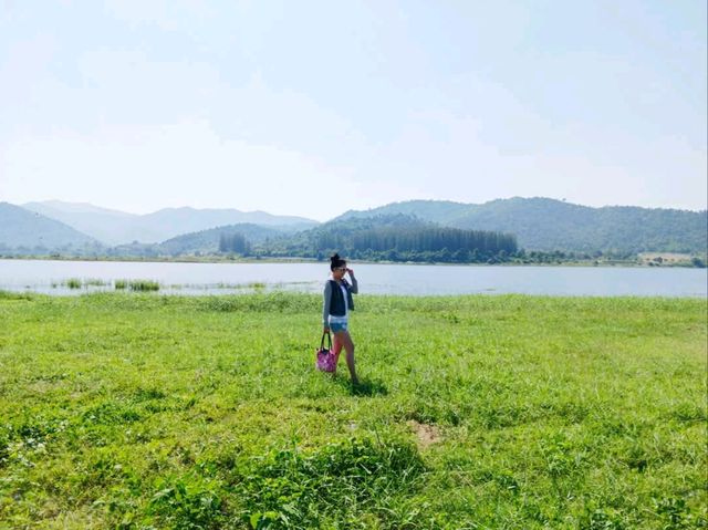 Phupha Coffee Camp ภูผา คอฟฟี่ แค้มป์