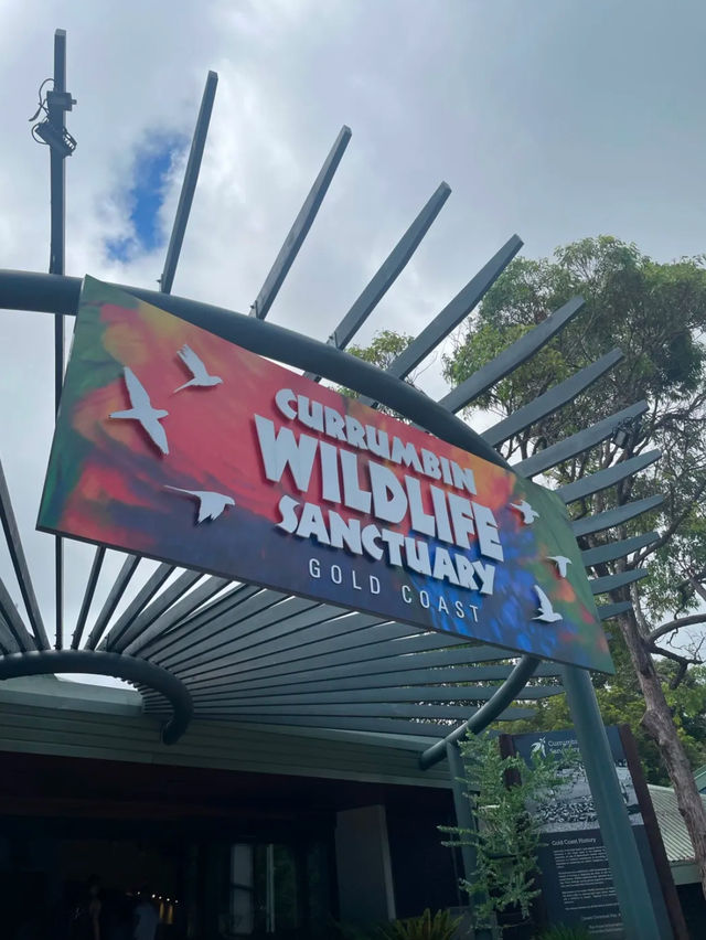 Currumbin Wildlife Sanctuary