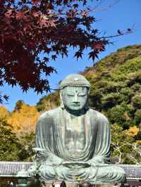 參拜日本第二高的佛像