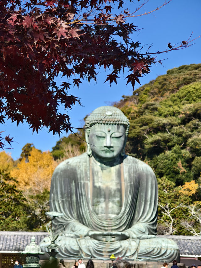 參拜日本第二高的佛像