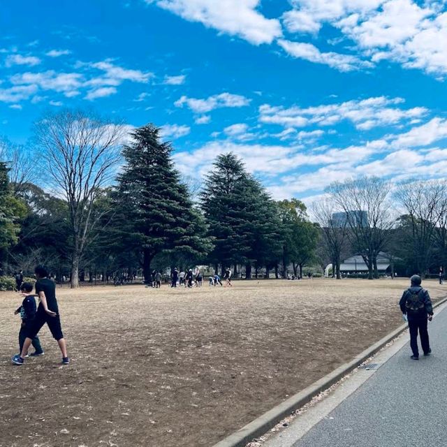 Yoyogi Park (代々木公園)