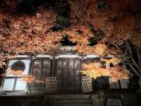  Nocturn Delights at the Eikando-ji Temple in Kyoto