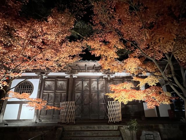  Nocturn Delights at the Eikando-ji Temple in Kyoto