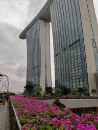 Why you must visit Gardens by the bay when you visit Singapore