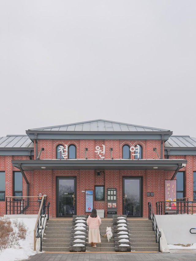분단의 아픔과 역사, 철원의 아름다운 자연 그리고 우리집 강아지가 함께한🤎