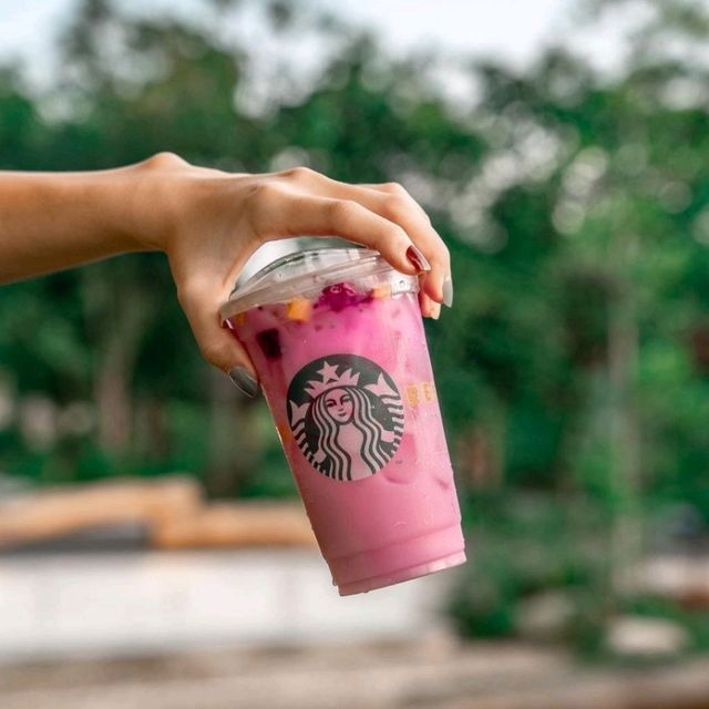 STARBUCKS OPENS GLASSHOUSE OUTLET AT BIRD PARADISE!