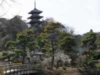 横浜観光飽きたらここ‼️ 【旧燈明寺三重塔】