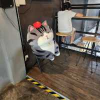 cat cafe in lamphun