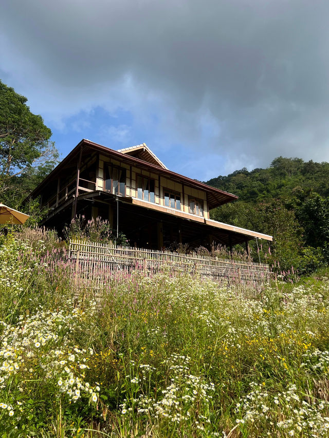 Mori Natural Farm