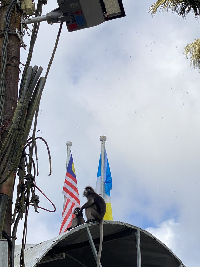Penang Hill – วิวโคตรตึง ธรรมชาติโคตรดี!