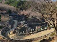 신비로운 기운 가득! 하동 삼성궁 🌿⛩