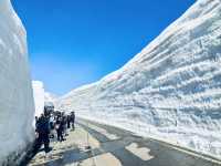 กำแพงหิมะสุดอลังการ Tateyama Kurobe Alpine Route